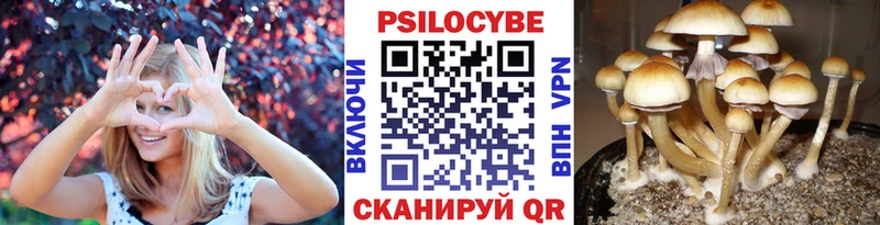 мориарти какой сайт  Гвардейск  Галлюциногенные грибы Magic Shrooms 